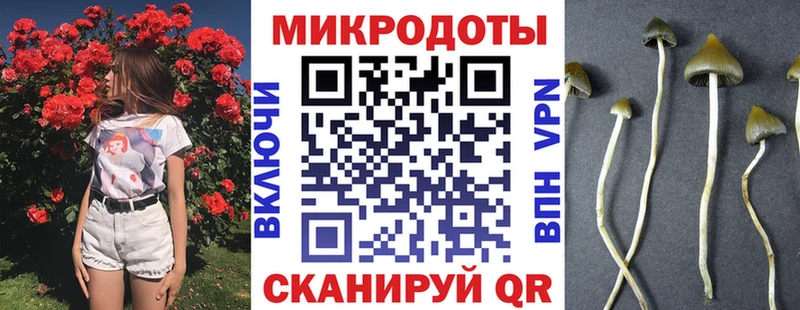 Псилоцибиновые грибы Psilocybine cubensis Чулым